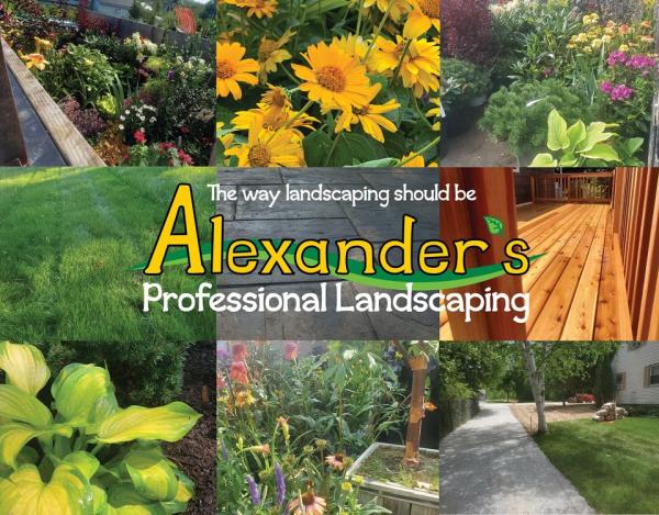 Alexander's Professional Landscaping