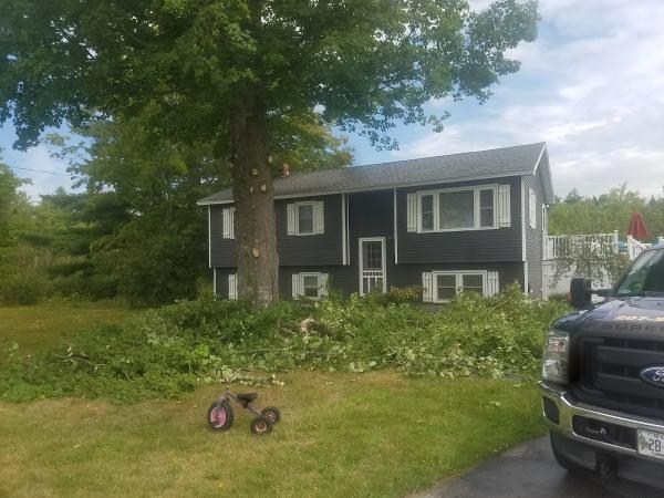 Alexander's Professional Landscaping