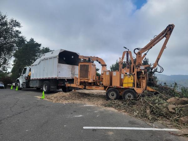 East Bay Tree Service