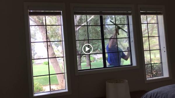 Window Wizard