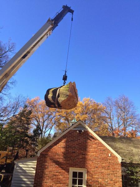 Romeo's Tree Service Inc.