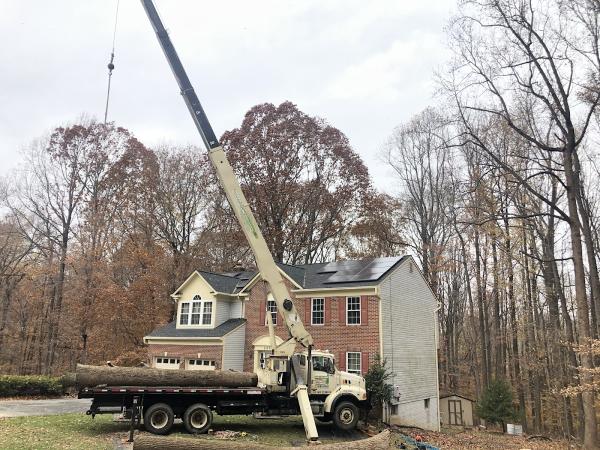 Romeo's Tree Service Inc.