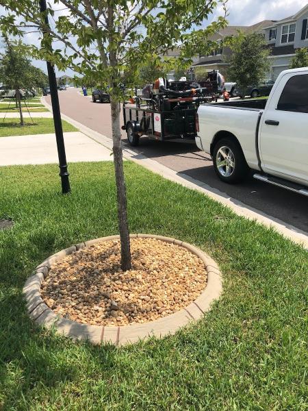 Lotus Landscape & Irrigation Inc