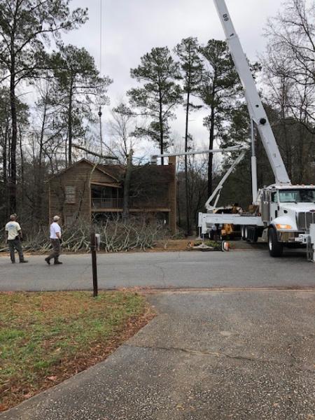 Pioneer Tree Service