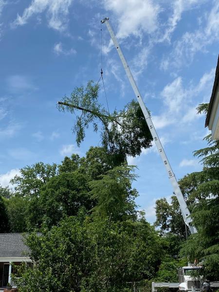 Pioneer Tree Service