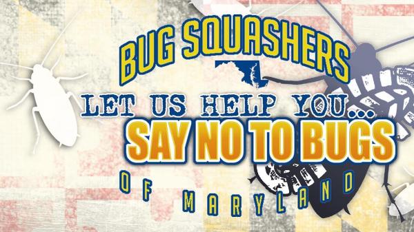 Bug Squashers Pest Control