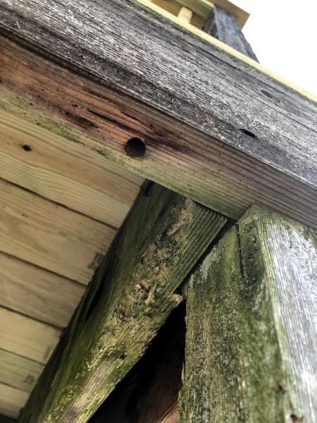 Bug Squashers Pest Control