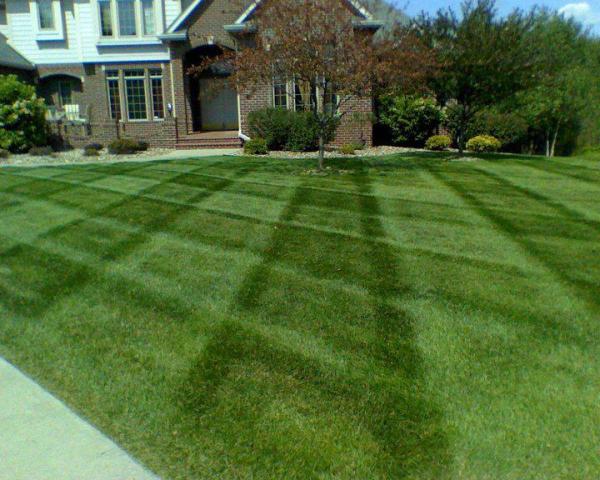Designer Lawns