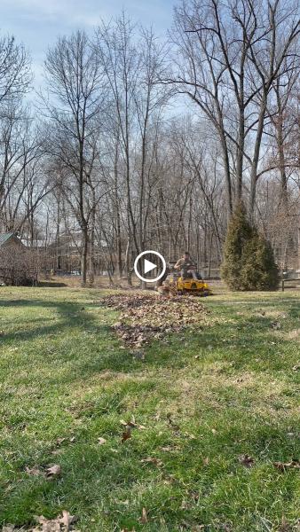 Local Roots Property Service