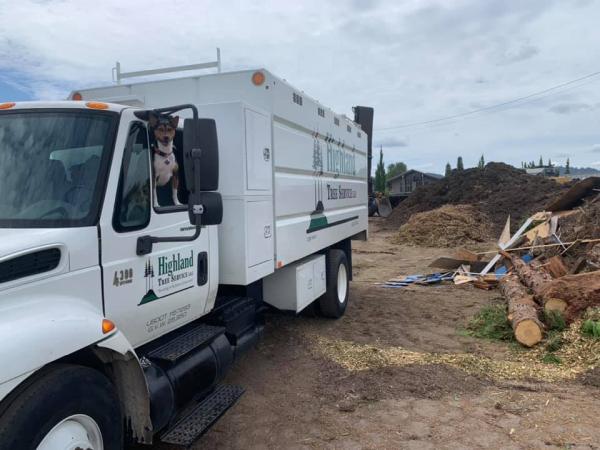 Highland Tree Service