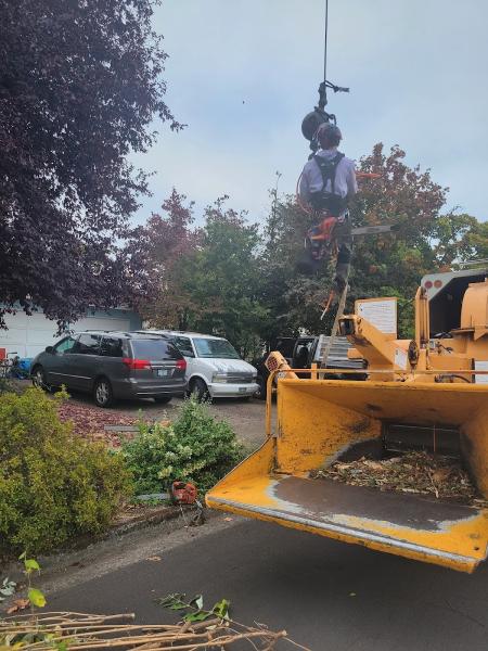 Highland Tree Service