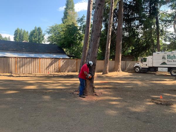 Highland Tree Service