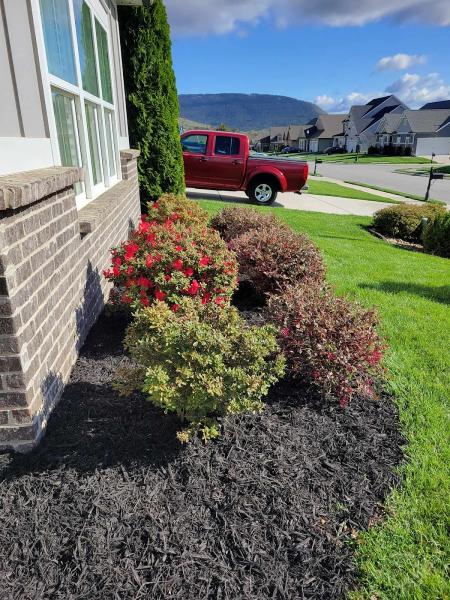 3rd Coast Lawn Care