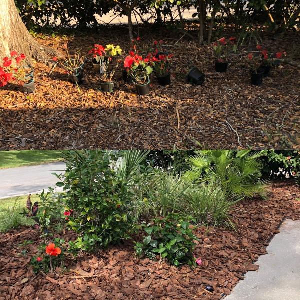 Lake Lawn Care & Pressure Washing