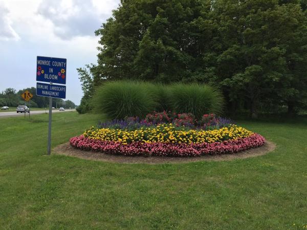 Trimline Landscape Management