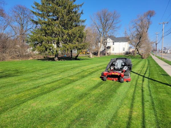 Trimline Landscape Management