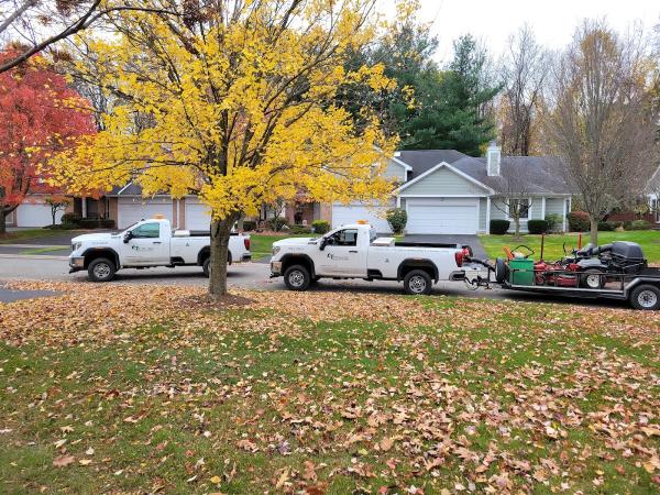 Trimline Landscape Management