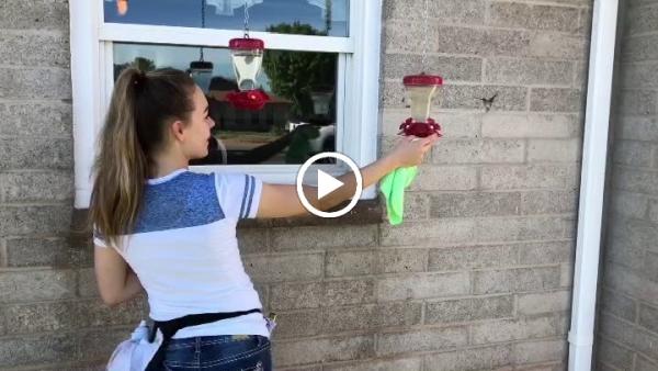 Reach Window Cleaning