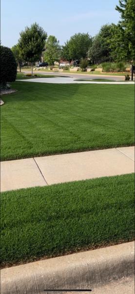 E-Greenleaf Lawn & Tree Care