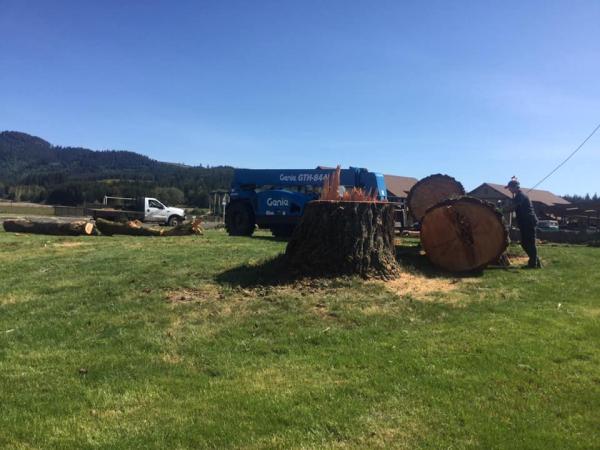 Caudle's Tree Service
