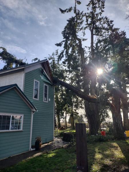 Caudle's Tree Service