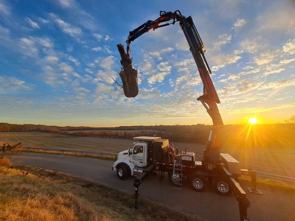 Arborpro Expert Tree Service