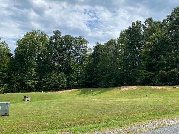 Arborpro Expert Tree Service