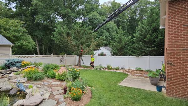 Arborpro Expert Tree Service