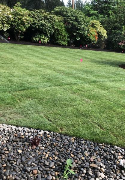 Solorio's Landscape LLC