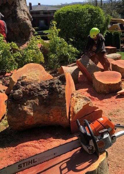 Solorio's Landscape LLC