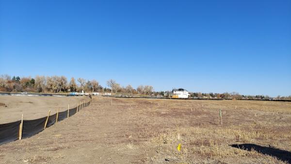 Lennar at Wild Plum
