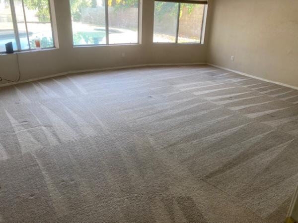 Panda Carpet and Tile Cleaning
