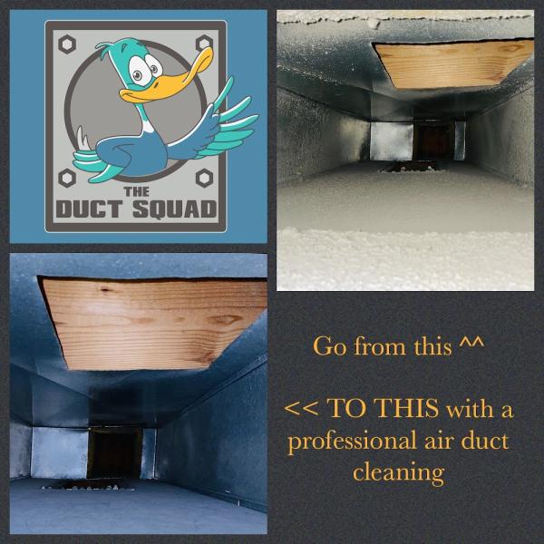 The Duct Squad