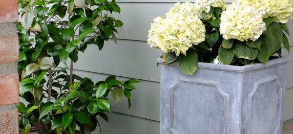 Cleator Landscape Design