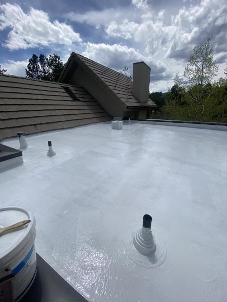 New Roof Plus