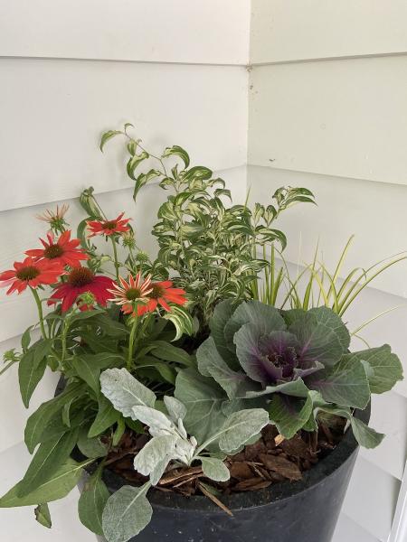 Flowerworx