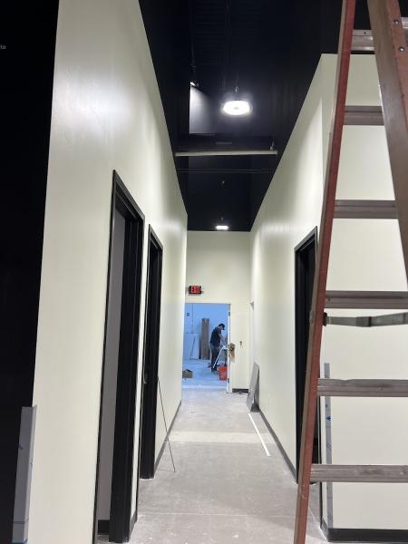 Asis Painting Inc.