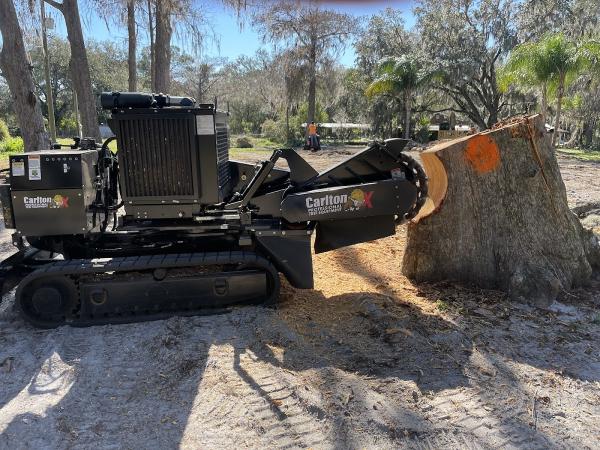 Sturgeons Lawn Tree and Bobcat Services