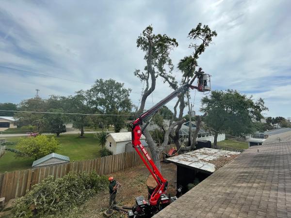 Sturgeons Lawn Tree and Bobcat Services