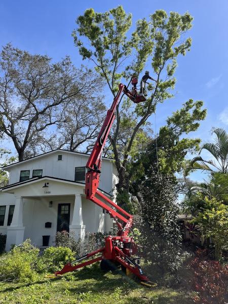 Mark Michaels Tree Service