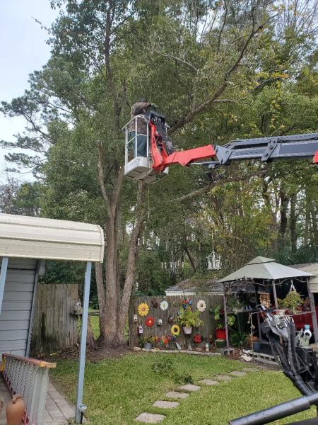The Branch Manager Tree Service