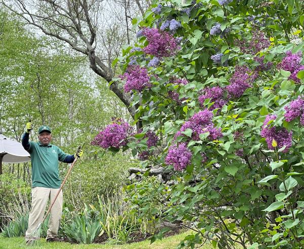 Yardscapes Landscape Professionals