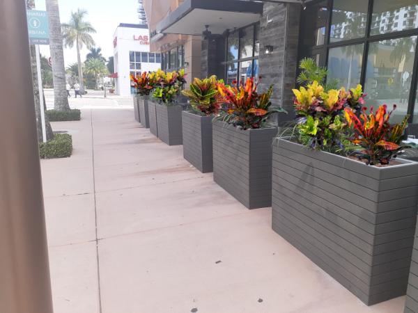 Stars and Stripes Landscaping
