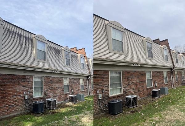 Alpha Pro Exterior Cleaning