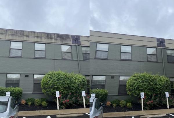 Alpha Pro Exterior Cleaning