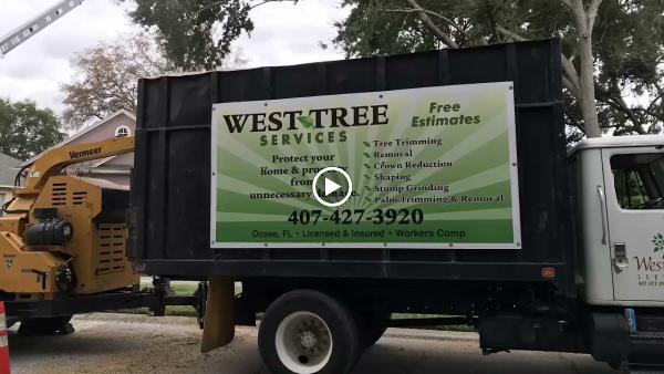 West Tree Services