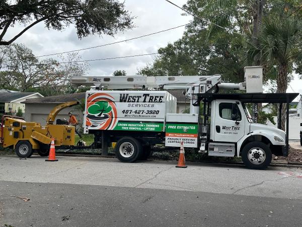 West Tree Services
