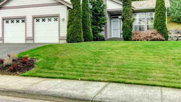 T & T Lawn Services