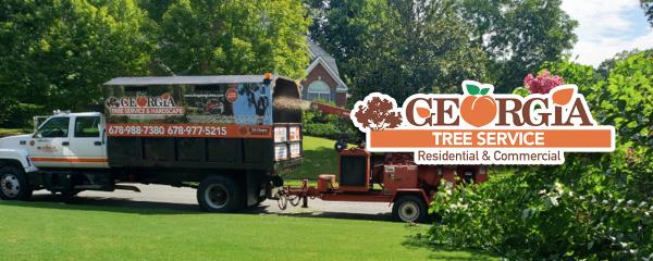 Georgia Tree Service & Hardscape