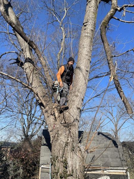 2 Chicks & A Chainsaw